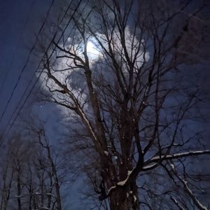 Meet your Posher, Jenn